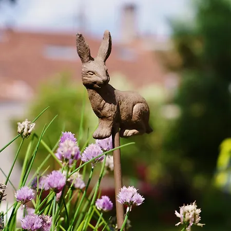 Nocleg ze śniadaniem La Maison Florence