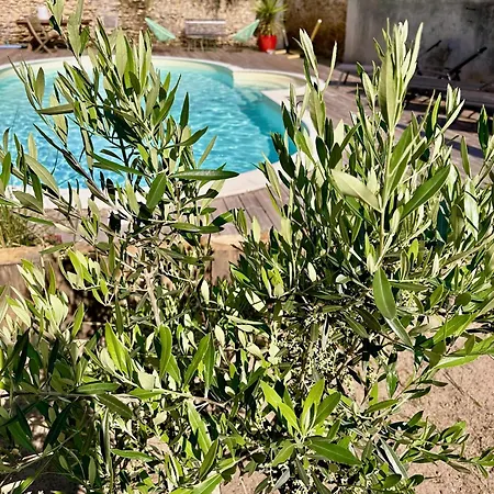 Nocleg ze śniadaniem La Maison Florence 4*