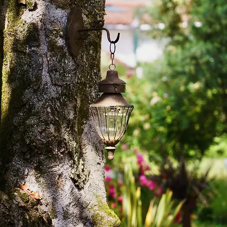 La Maison Florence Nocleg ze śniadaniem 4*