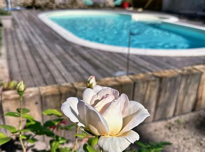 Bed and Breakfast La Maison Florence