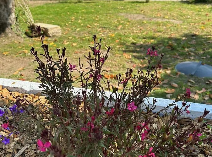 Bed and Breakfast La Maison Florence