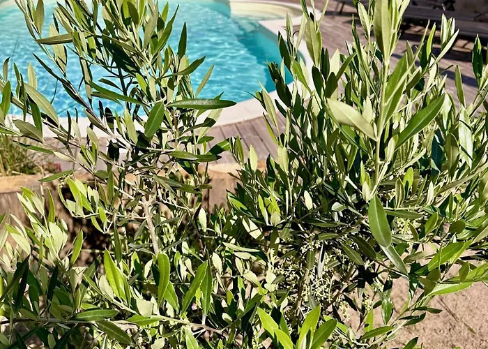 Bed and Breakfast La Maison Florence 4*