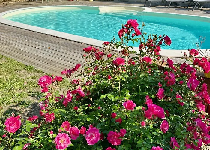 Bed & Breakfast La Maison Florence